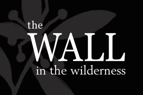 The Wall in the Wilderness